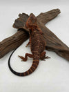 Red Monster Het Hypo Het Trans (Male)